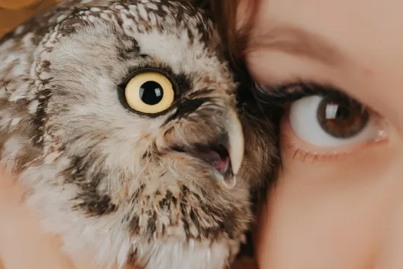 Казино Локо Уин Поддръжка